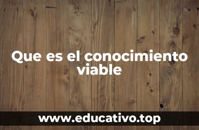 Que es el conocimiento viable