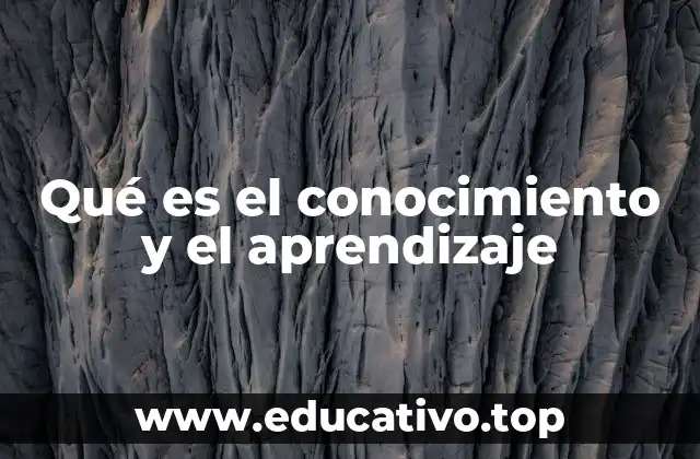 Qué es el conocimiento y el aprendizaje