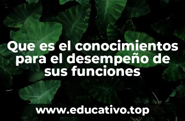 El papel de la formación en la preparación profesional