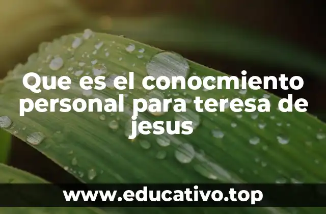 La búsqueda interior como eje de la espiritualidad terecista