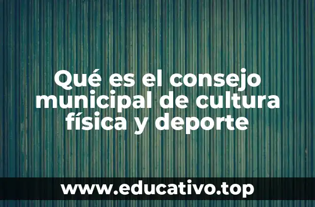Qué es el consejo municipal de cultura física y deporte