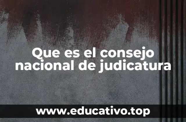Que es el consejo nacional de judicatura