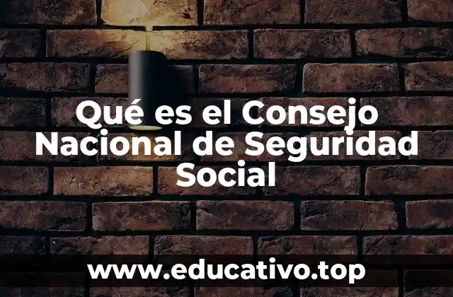 Qué es el Consejo Nacional de Seguridad Social