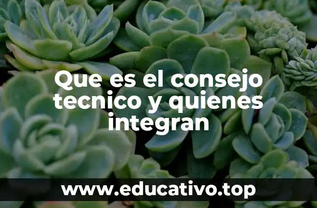 Que es el consejo tecnico y quienes integran