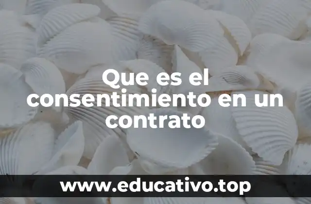Que es el consentimiento en un contrato