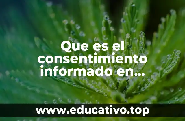 Que es el consentimiento informado en investigacion