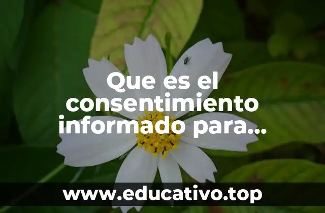 Que es el consentimiento informado para investigacion