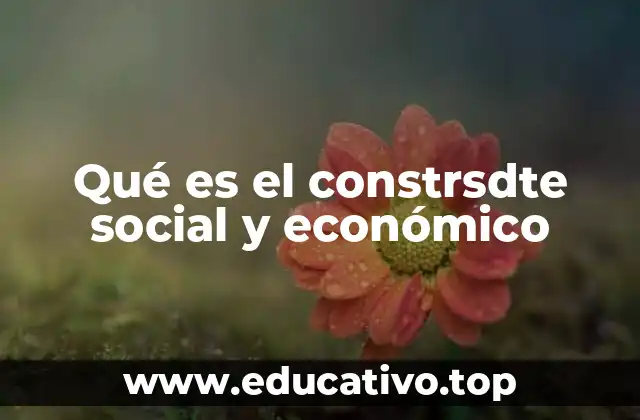 Qué es el constrsdte social y económico
