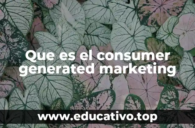 Que es el consumer generated marketing