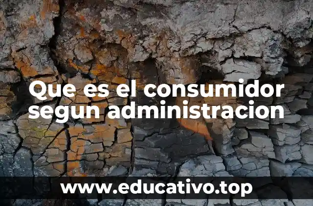 Que es el consumidor segun administracion