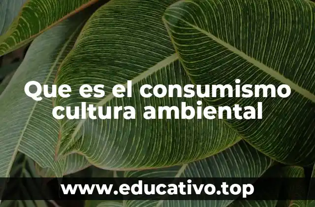 Que es el consumismo cultura ambiental