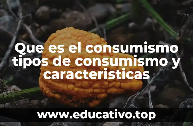 Que es el consumismo tipos de consumismo y caracteristicas