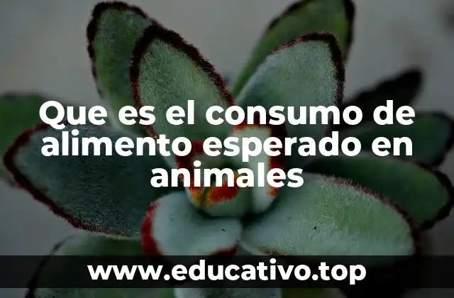 Que es el consumo de alimento esperado en animales