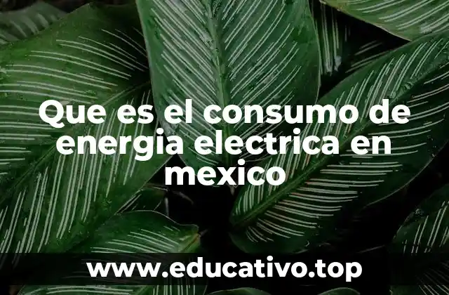 Que es el consumo de energia electrica en mexico