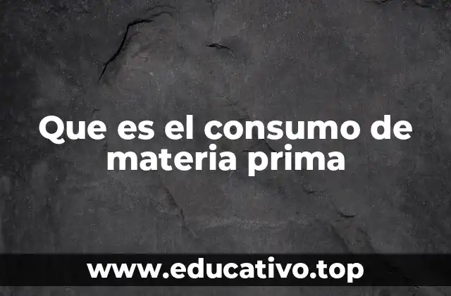 Que es el consumo de materia prima