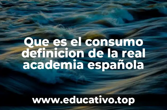 Que es el consumo definicion de la real academia española