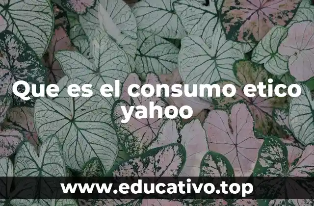 Que es el consumo etico yahoo