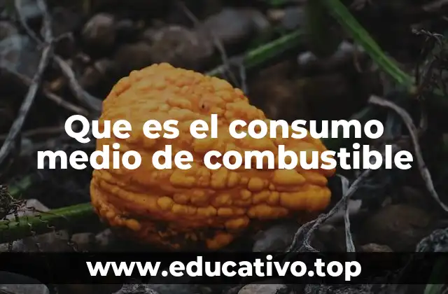 Que es el consumo medio de combustible