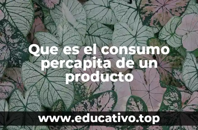 Que es el consumo percapita de un producto