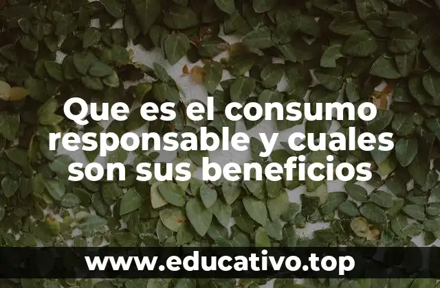 Que es el consumo responsable y cuales son sus beneficios
