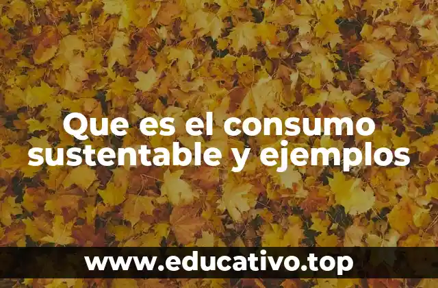 Que es el consumo sustentable y ejemplos