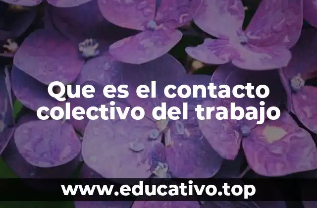 Que es el contacto colectivo del trabajo
