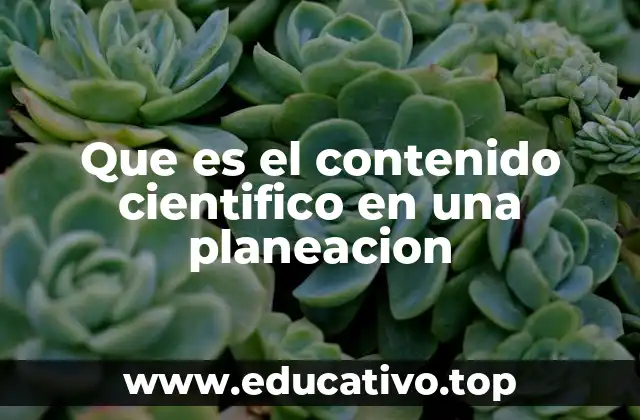 Que es el contenido cientifico en una planeacion