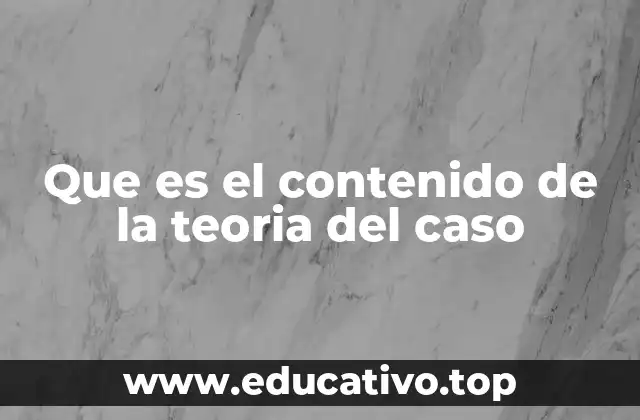 Que es el contenido de la teoria del caso
