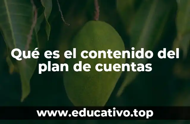 Qué es el contenido del plan de cuentas