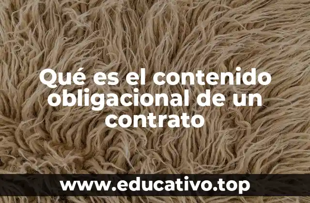 Qué es el contenido obligacional de un contrato
