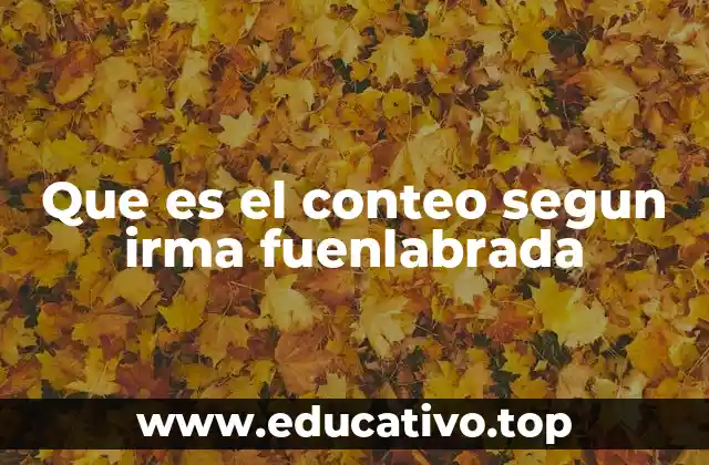 Que es el conteo segun irma fuenlabrada