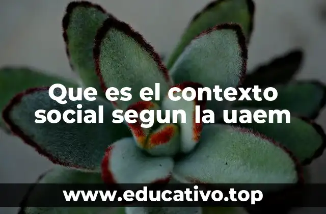 Que es el contexto social segun la uaem