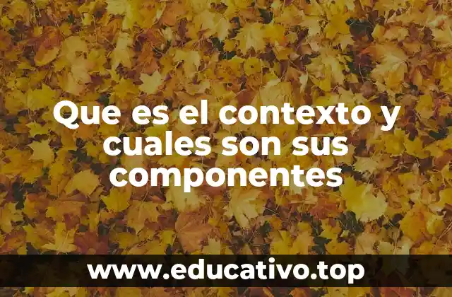 Que es el contexto y cuales son sus componentes
