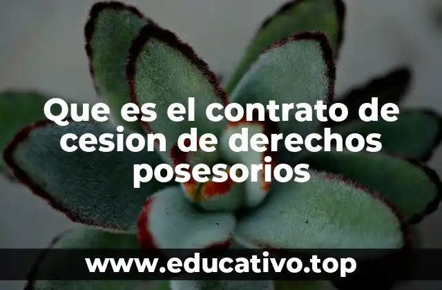 Que es el contrato de cesion de derechos posesorios