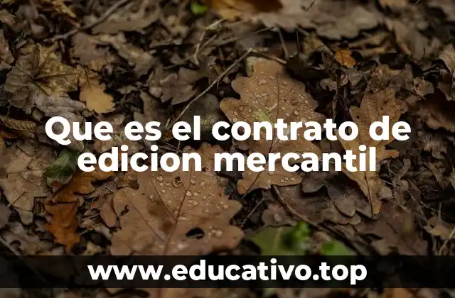 La importancia del contrato en la relación editorial