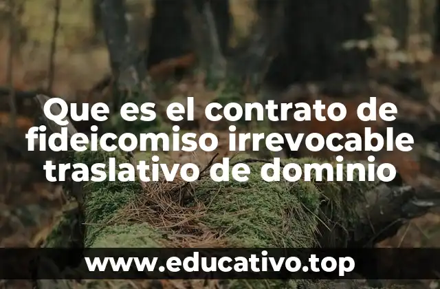 Que es el contrato de fideicomiso irrevocable traslativo de dominio
