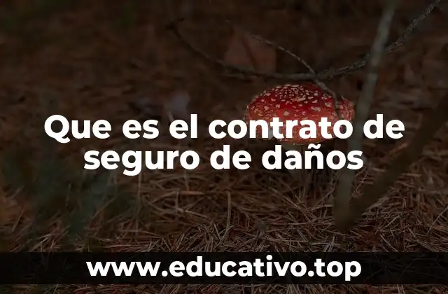 Que es el contrato de seguro de daños