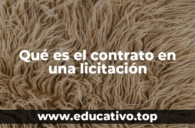 Qué es el contrato en una licitación