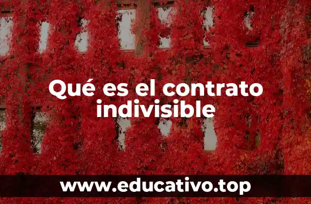 Qué es el contrato indivisible