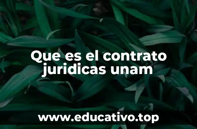 Que es el contrato juridicas unam