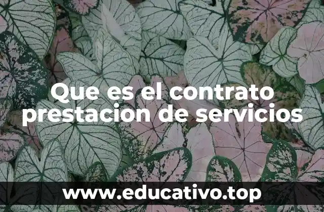 Características principales del contrato de prestación de servicios