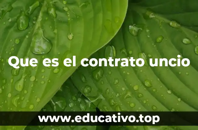 Que es el contrato uncio