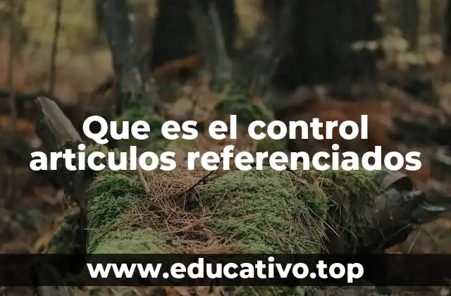 La importancia del control de enlaces internos en la estructura de un sitio web