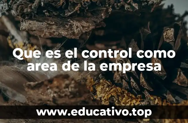 Que es el control como area de la empresa