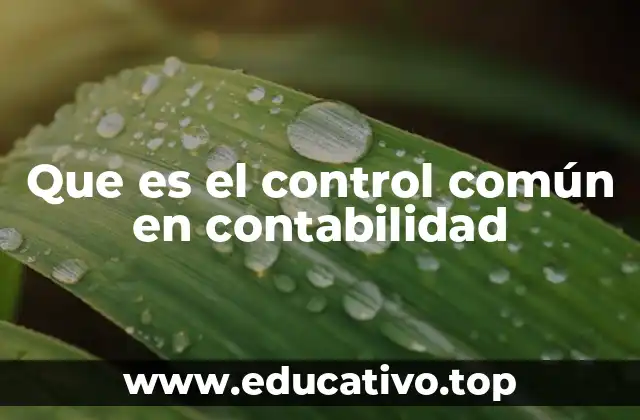 Que es el control común en contabilidad