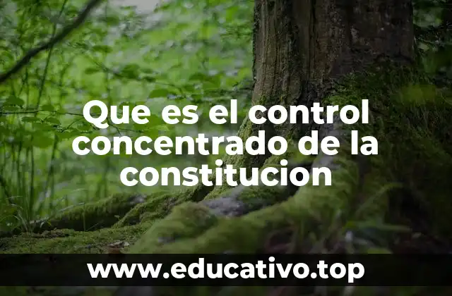 Que es el control concentrado de la constitucion