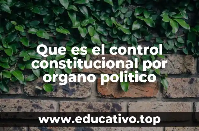 Que es el control constitucional por organo politico