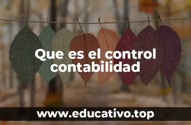 Que es el control contabilidad