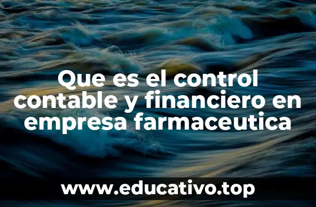 Que es el control contable y financiero en empresa farmaceutica