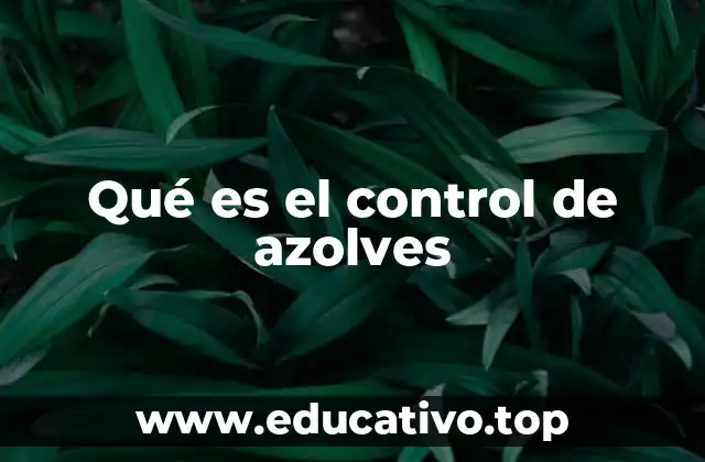 Qué es el control de azolves